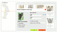 Scale images with image resize plugin.