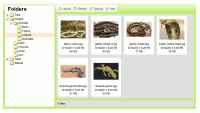 Change user interface color with a single configuration option.